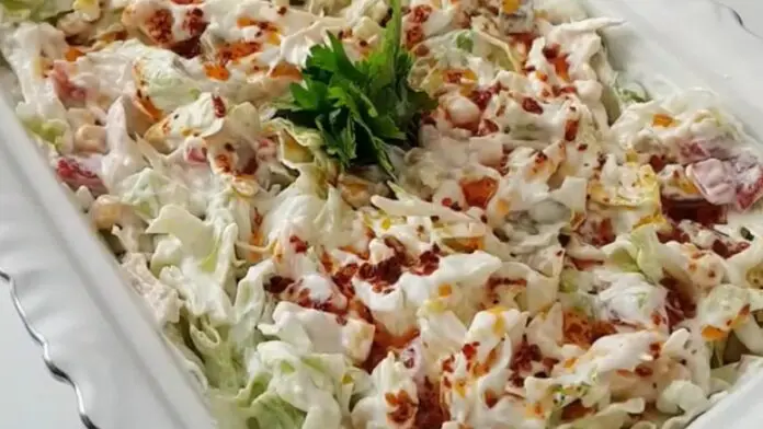Tavuklu yoğurtlu salata | gaziantepetyemekleri.com